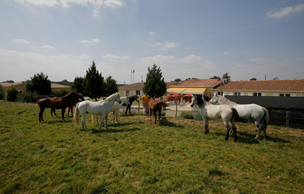 Tresses Logis Hotel Corintel Bordeaux Est מראה חיצוני תמונה